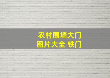 农村围墙大门图片大全 铁门